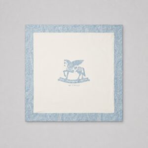 Etro - Copertina fantasia peasley cielo