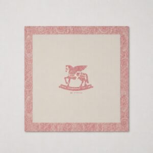 Etro - Copertina fantasia peasley rosa