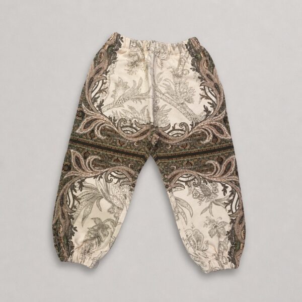 Etro - Pantalone fantasia peasley